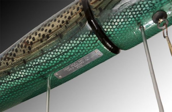 Higuera Dragonfly - Image 3