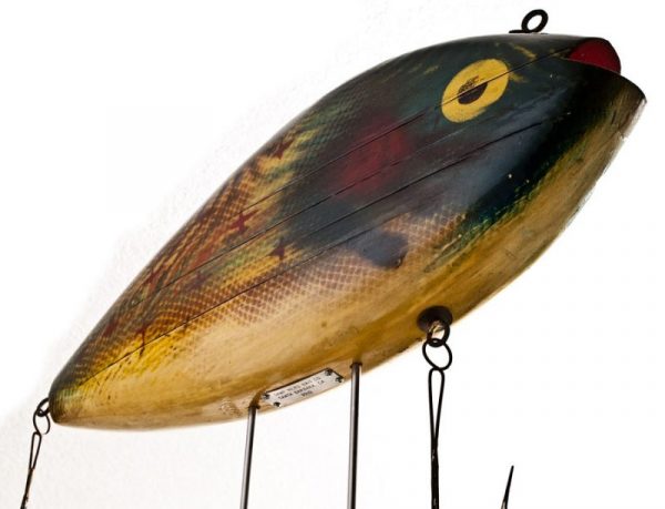 Pumpkinseed - Image 3